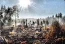 Dead Valley