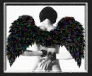 Angel wings