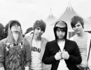 panic at the disco love