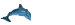 dolphin online now icon