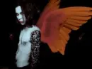 HIM an angel