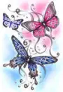 butterflies