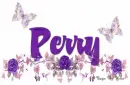 Perry