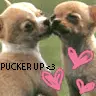 kiss