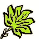 Leaf