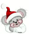 creddy