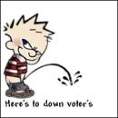 here's to down voters