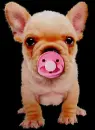 cute baby