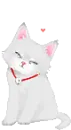 cute white cat