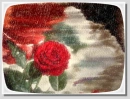 Red roses part3
