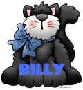 CAT ~ BILLY
