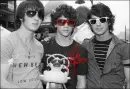 jonas brothers