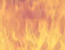 fire wall 