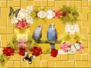 Parrots, butterflies