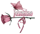 Jasmine