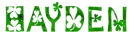 Hayden, shamrock