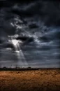 Kuwait Desert