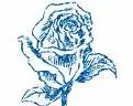 nice light blue flower