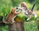 I Love You THIS Much! :)