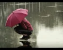 umbrella