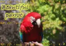I love parrot