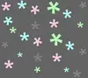 colourful flowers 