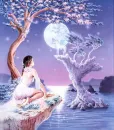 fairy