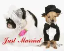 just married