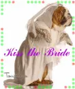 kiss the bride