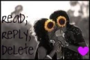 Read; Reply; Delte