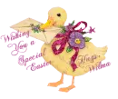 Wilma - Easter