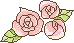 rose1