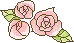 rose2