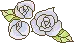blue roses