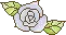 blue rose