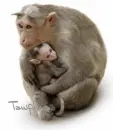 Hugs 