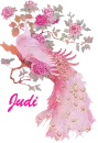 Judi, Pink peacock. 