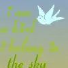 birds