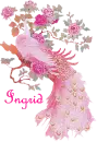 Ingrid, pink peacock