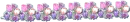 flowers divider - div-- spring