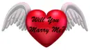 Will You Marry Me?