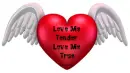 Love Me Tender, Love Me True