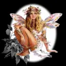 FAIRY