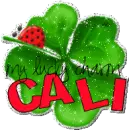 Cali