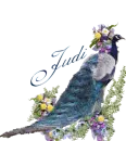 Judi blue peacock