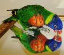 Rainbow lorikeet