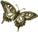 gold butterfly