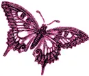 pink butterfly