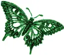 green butterfly
