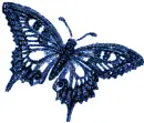 blue butterfly